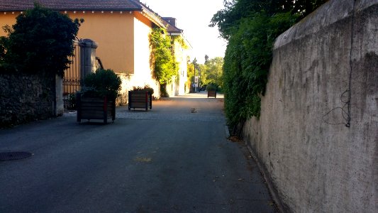 Rue de la mairie à Onex