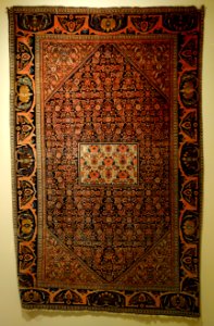 Rug, Western Iran, Feregahn-Sarouk, 1885-1915, wool - Huntington Museum of Art - DSC04866