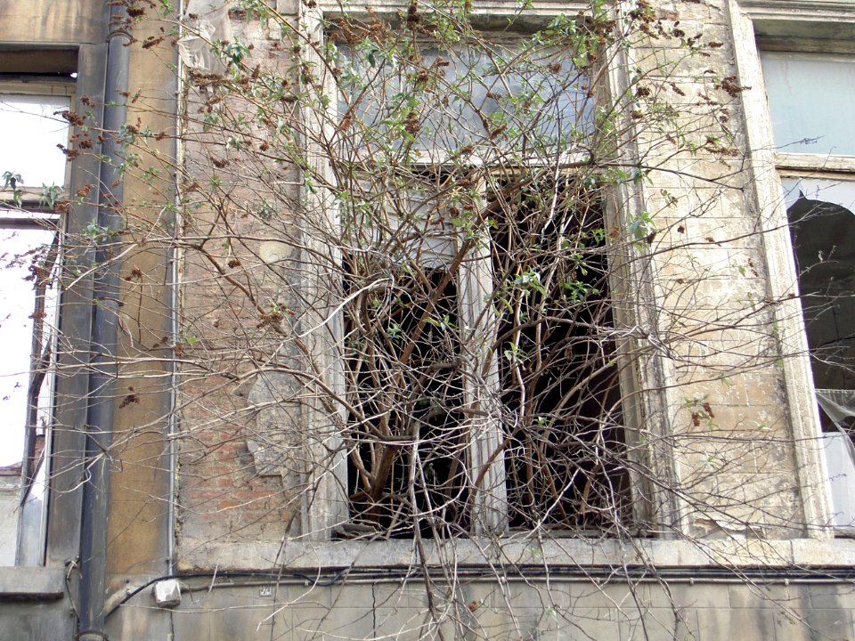 Rue des Sables, Bruxelles photo 4