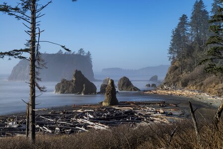 Coast pacific sea