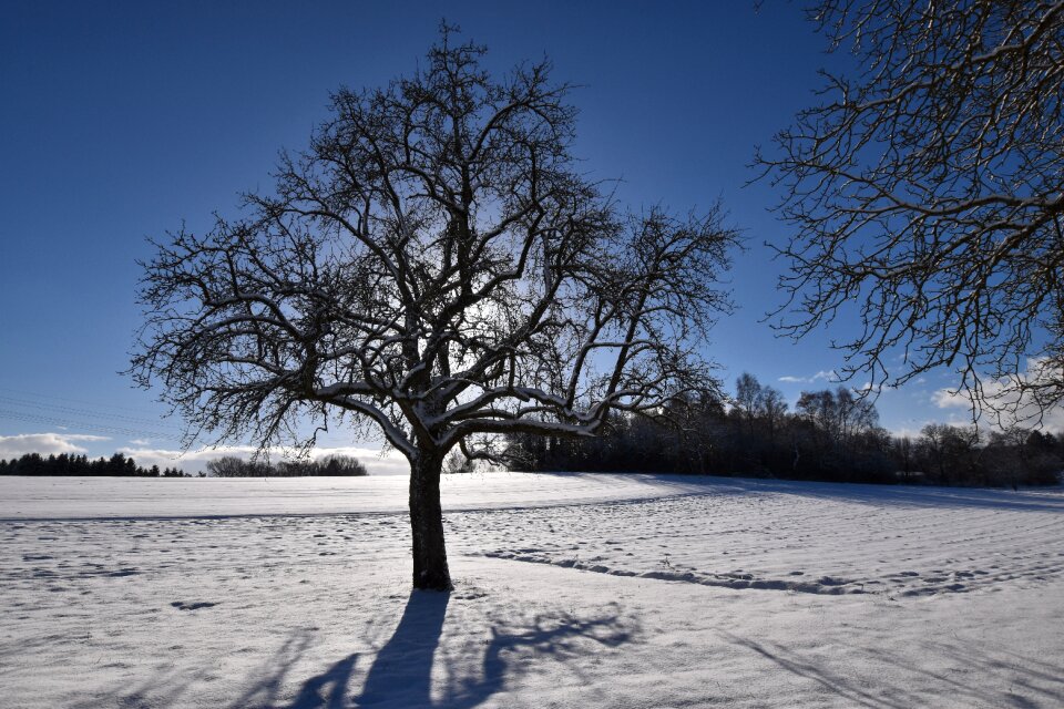 Winter lighting snowy photo