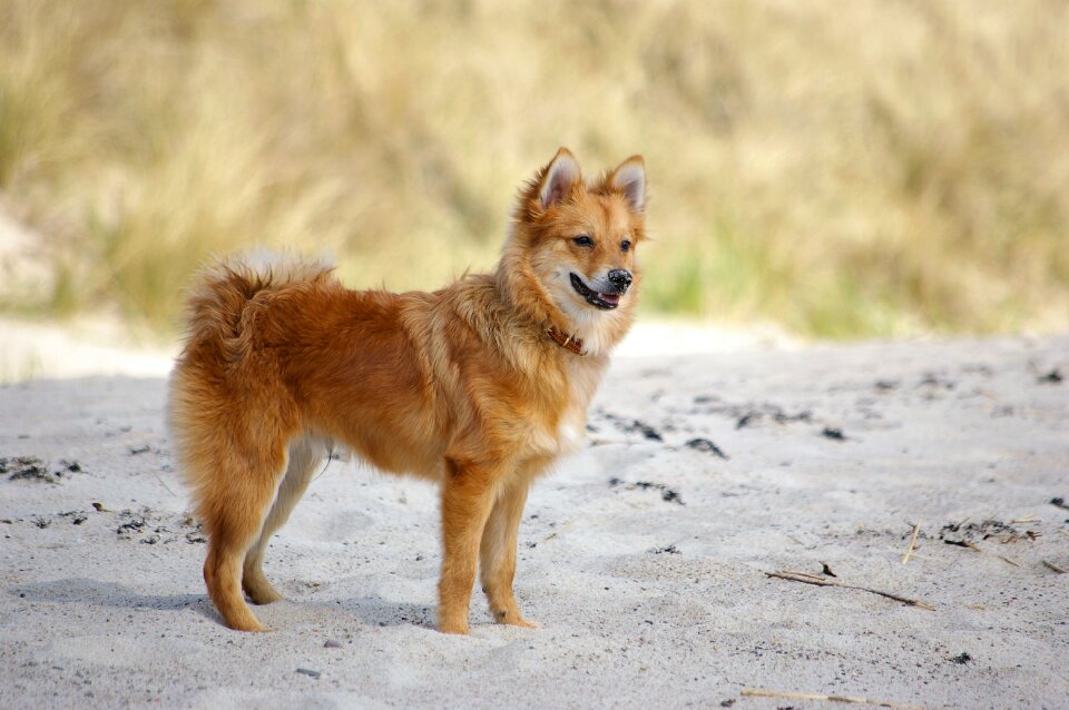 Sand friend mixed race