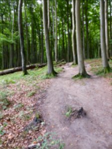 Ruegen-2016-08-27-6