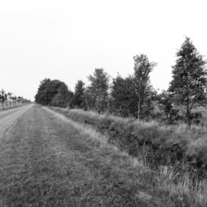 Ruilverkavelingen, linde-zuid, Bestanddeelnr 167-0208