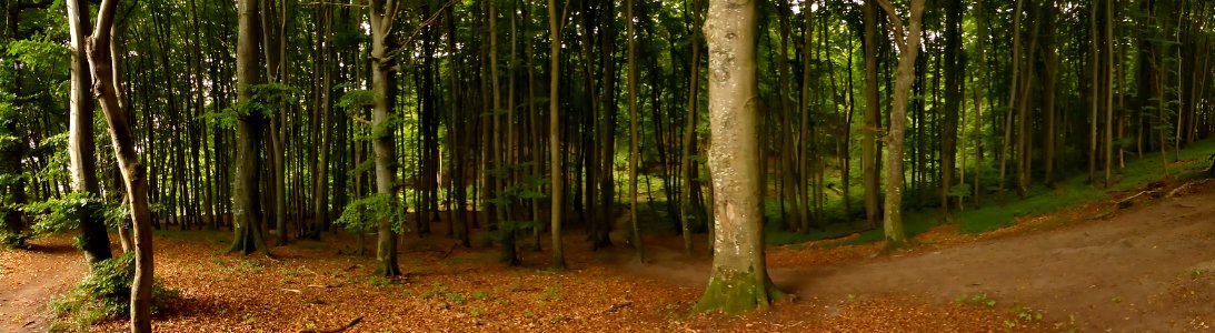 Ruegen-2016-08-27-5