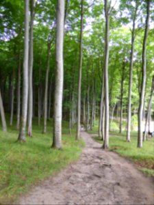 Ruegen-2016-08-27-14