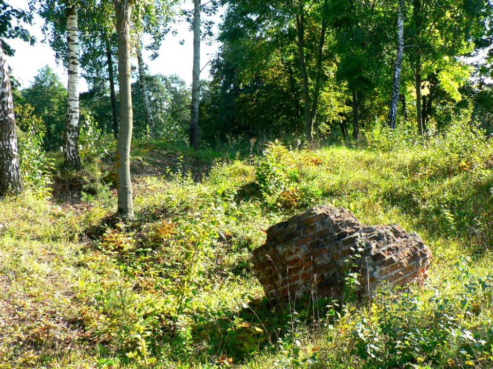 Ruins of Valkininkai Monastery, 01