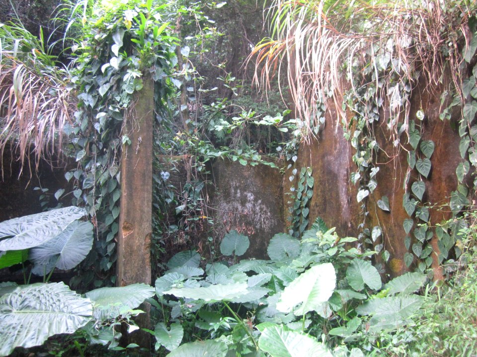 Ruins of Longhua Temple at Mount Yangtai2