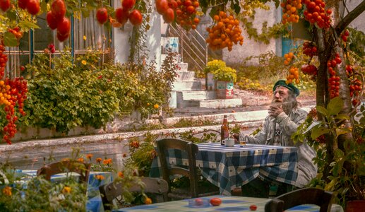 Tomatoes nature senior