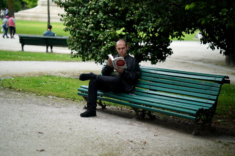Book read park bench