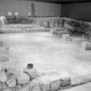 Ruïne met mozaiekvloer van een synagoge uit het begin van de 6de eeuw, Bestanddeelnr 255-2587