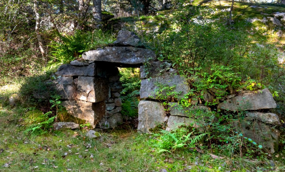 Ruins of Nyborg homestead in Gullmarsskogen