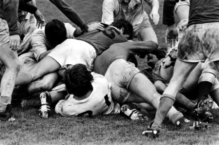 Rugby interland Nederland tegen Engeland kluwe spelers, Bestanddeelnr 929-7039
