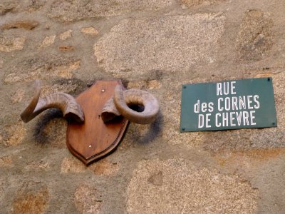 Rue chèvres Bellegarde-en-Marche