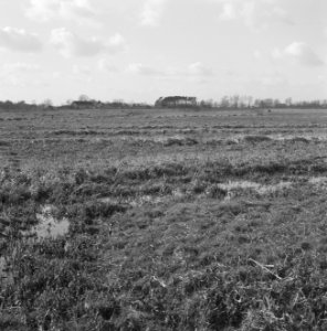 Ruilverkaveling Essche stroom Vak III nabij grens vak II - vak III boerderi, Bestanddeelnr 162-0395