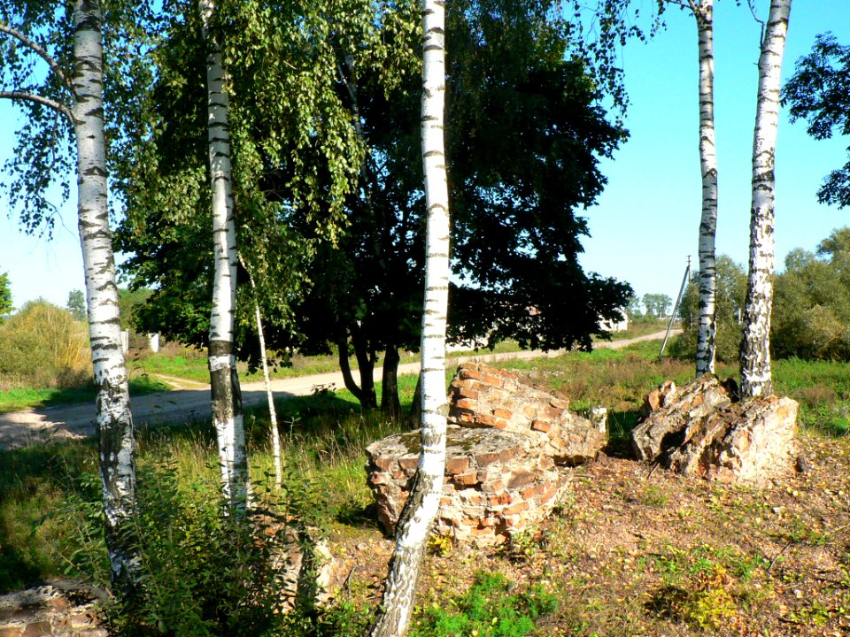 Ruins of Valkininkai Monastery, 02