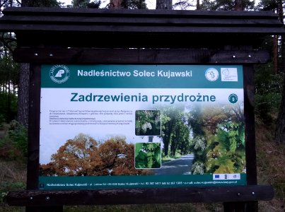 Rudy sciezkadydakt 1 7-2015