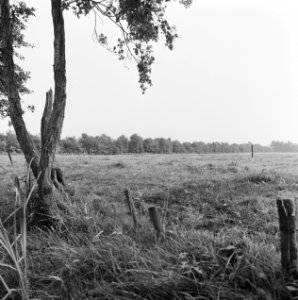 Ruilverkavelingen, linde-zuid, Bestanddeelnr 167-0209