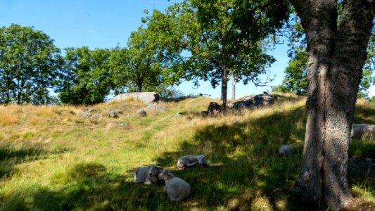 Ruin area at Röe Castle