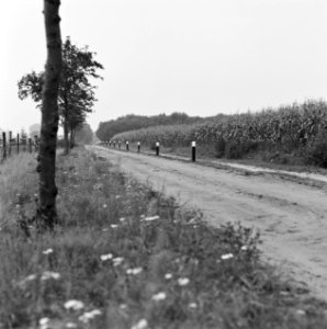 Ruilverkavelingen, linde-zuid, Bestanddeelnr 167-0207