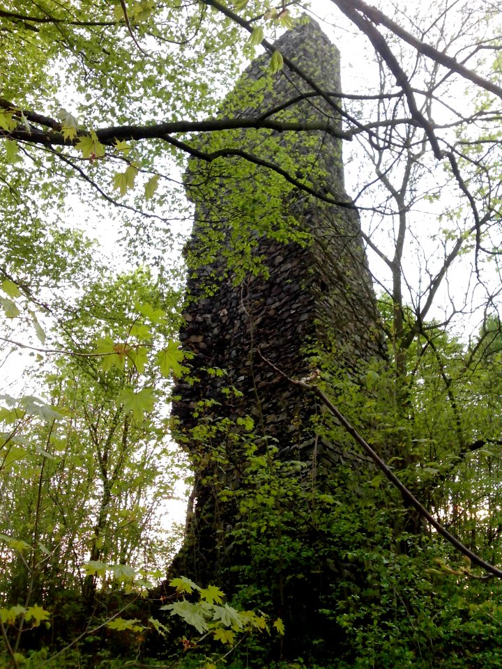 Ruine Eckersdorf 2014 inter Bäumen