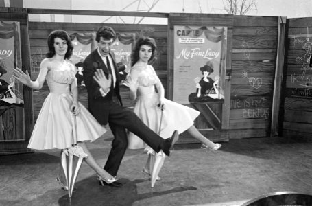 Rudi Carrell show. Opdracht Rudi Carrell (lachend), Bestanddeelnr 913-5054