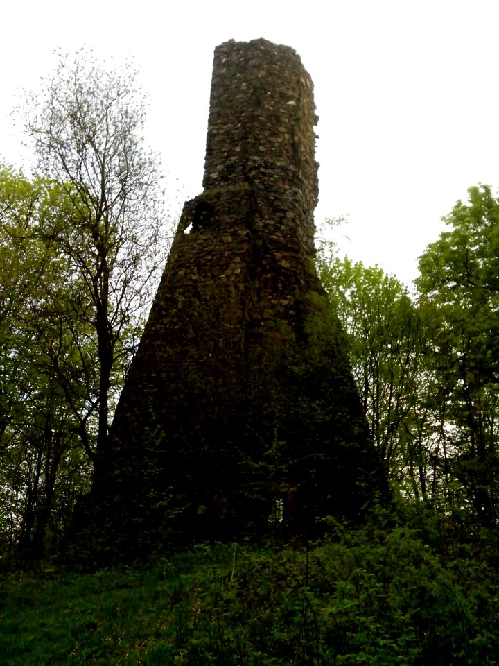 Ruine Eckersdorf 2014