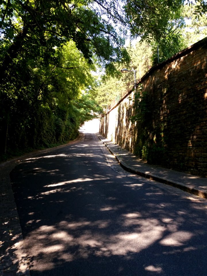 Rue du Bas de Loyasse - En montant au fort