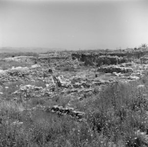 Ruines van de stallen van Salomo bij Meggiddo, Bestanddeelnr 255-1518