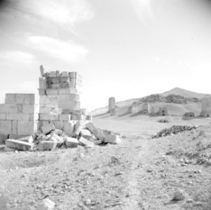 Ruïnes nabij Palmyra, Bestanddeelnr 255-6122