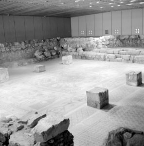 Ruïne met mozaiekvloer van een synagoge uit het begin van de 6de eeuw, Bestanddeelnr 255-2588