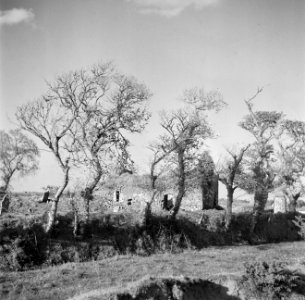 Ruïne en grafzerken achter bomen bij Rosslare, Bestanddeelnr 191-0899
