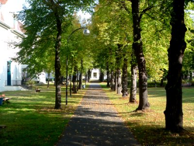 Rudower Straße 56 (Berlin-Buckow) Allee
