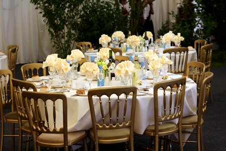 Banquet beautiful beauty photo