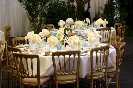 Banquet beautiful beauty