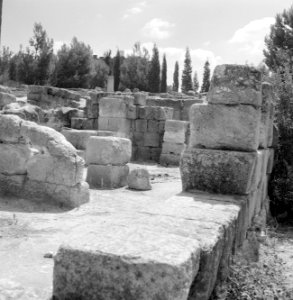 Ruines van een synagoge, Bestanddeelnr 255-2607