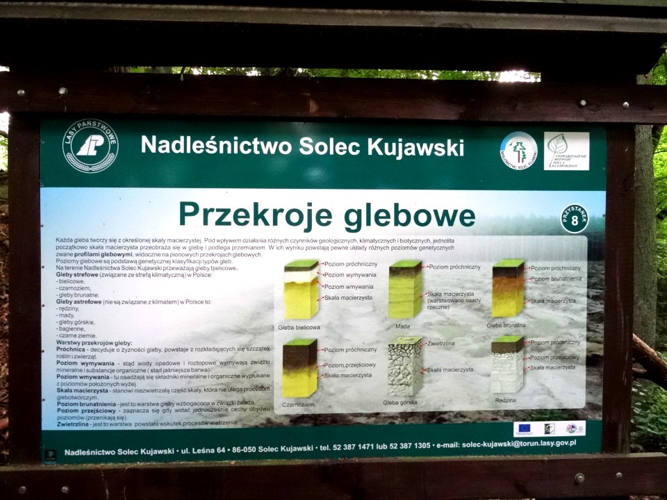 Rudy sciezkadydakt 6 7-2015