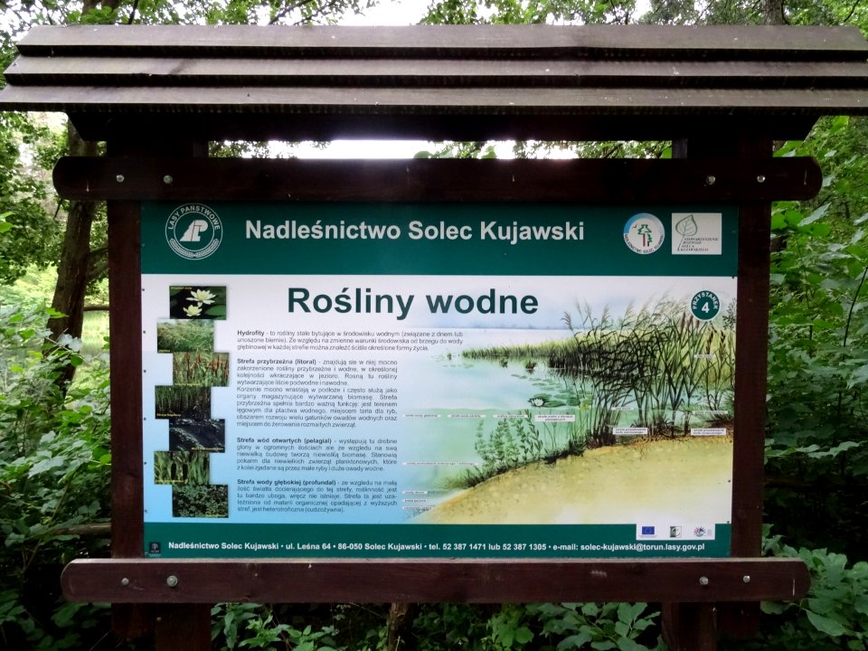 Rudy sciezkadydakt 2 7-2015