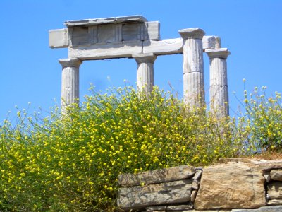 Ruins in Delos