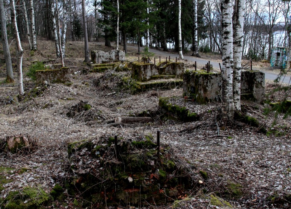 Ruins Korkeasaari Oulu 20140412 02