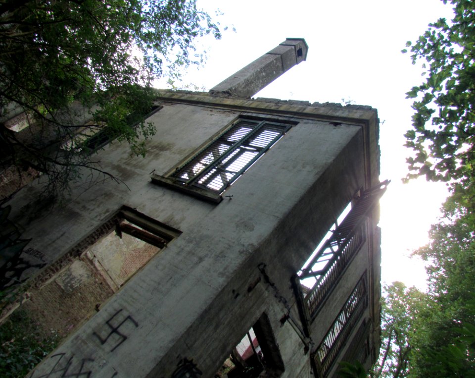 Ruïne Hotel Dullemond in 2017 - 5