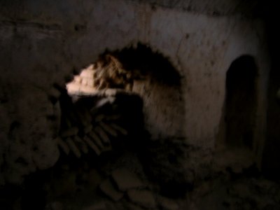 Ruins of an Old brick thatch house - North Qavvani ave - near Al-Reza Mosque - Nishapur 42