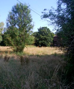 Ruins of Former St Nicholas' Chapel, Westbury House, East Meon (NHLE Code 1179009) (July 2019) (1)