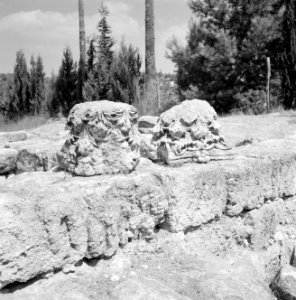 Ruines van een synagoge, Bestanddeelnr 255-2610