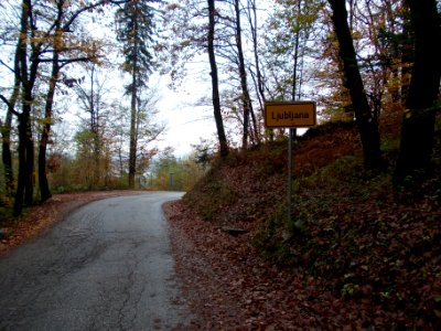 Rudnik (Ljubljana) 12
