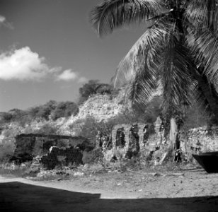Ruïne aan de kust van Sint-Eustatius, Bestanddeelnr 252-8315