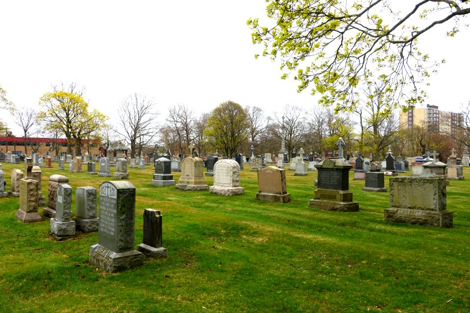 Saint Paul Cemetery - Arlington, MA - DSC01104