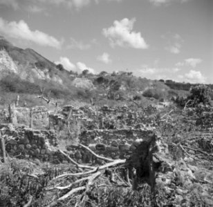 Ruïne aan de kust van Sint-Eustatius, Bestanddeelnr 252-8317