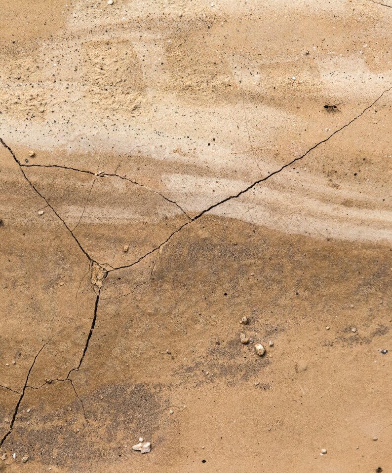 Ant dry crack