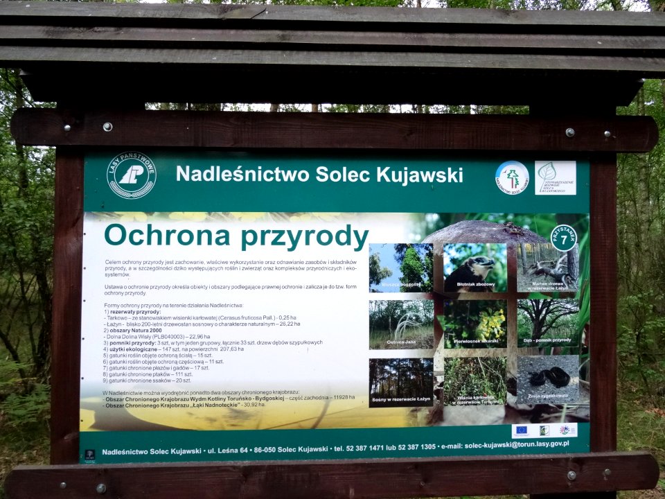 Rudy sciezkadydakt 5 7-2015